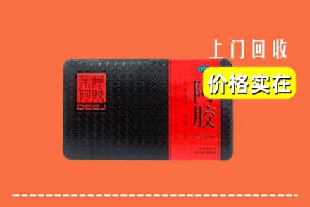 榆阳区回收阿胶