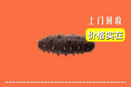 榆阳区回收海参