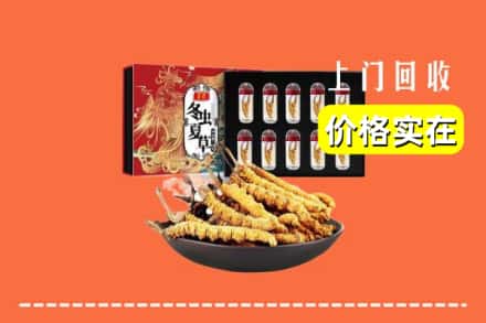 榆阳区回收虫草