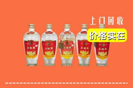 诚信求购:榆阳区高价回收老五粮液